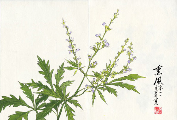 昔酒的一组带有浓浓中国味道的手绘花草