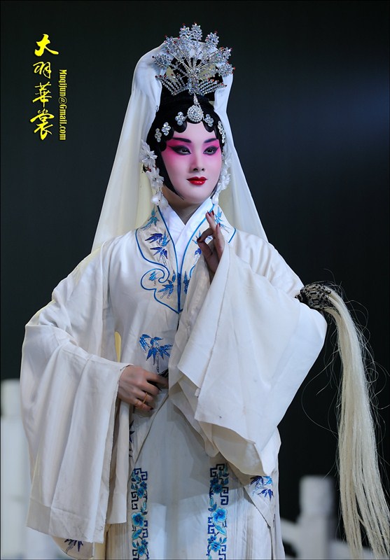 大羽华裳--中国戏曲服饰意象艺术（三）