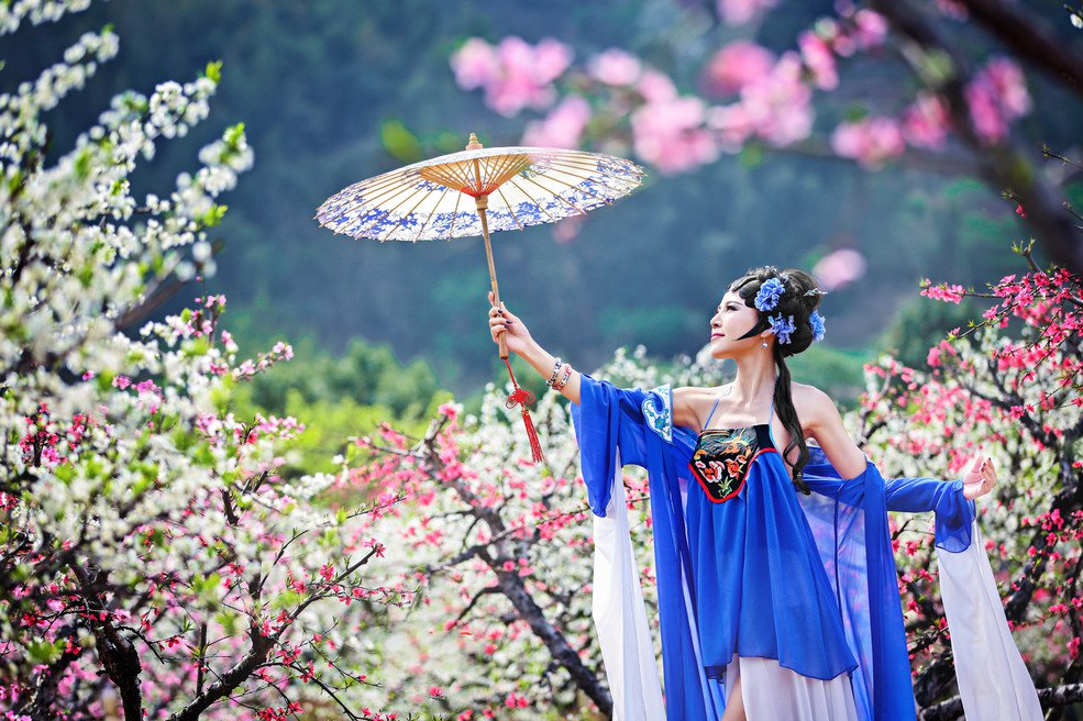 春色满园古韵摄影艺术作品