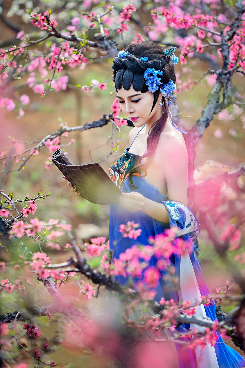 春色满园古韵摄影艺术作品