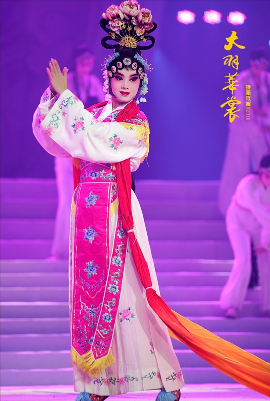 大羽华裳--中国戏曲服饰意象艺术（一）