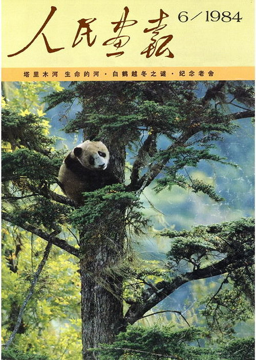 1984年的《人民画报》封面设计