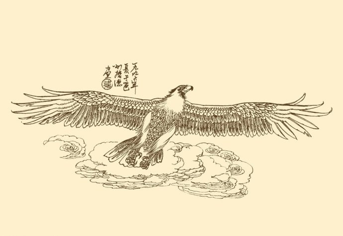 精美的鹰姿白描绘画艺术作品（一）
