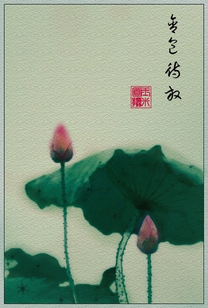绝美的中国风荷语主题艺术摄影
