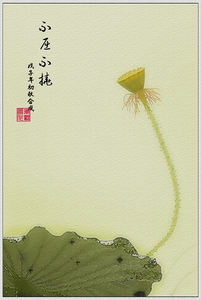 绝美的中国风荷语主题艺术摄影