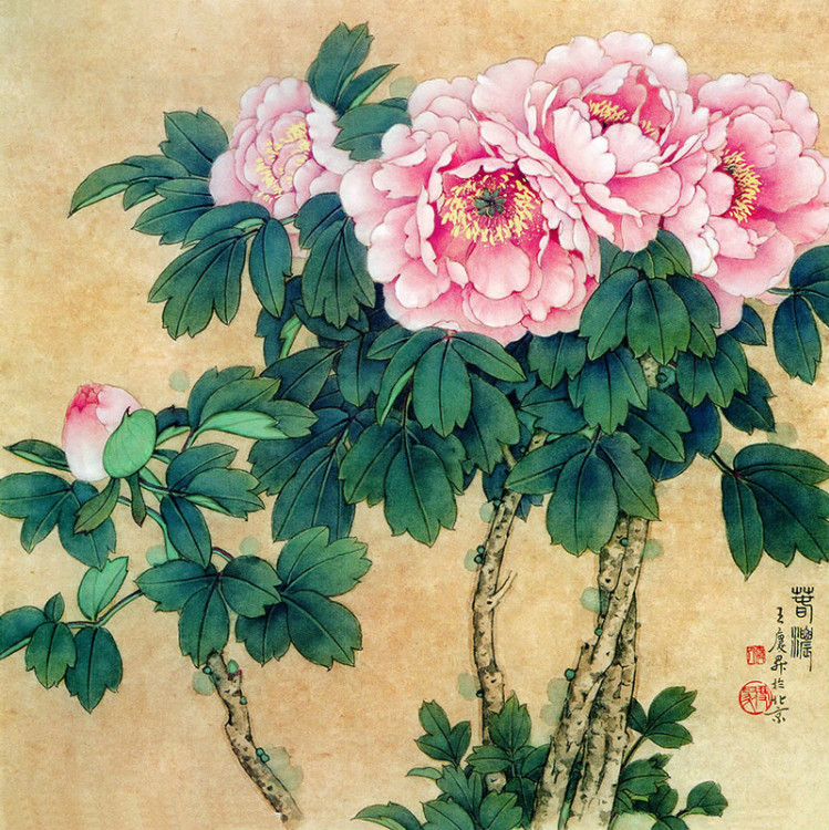 王庆升工笔花鸟绘画艺术作品
