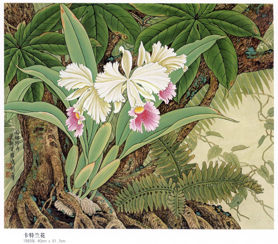 中国现代名家金鸿钧的工笔花鸟绘画（四）