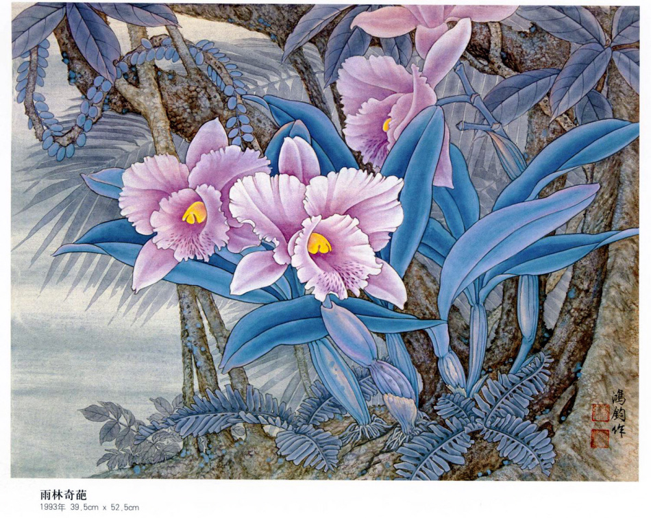 中国现代名家金鸿钧的工笔花鸟绘画（四）