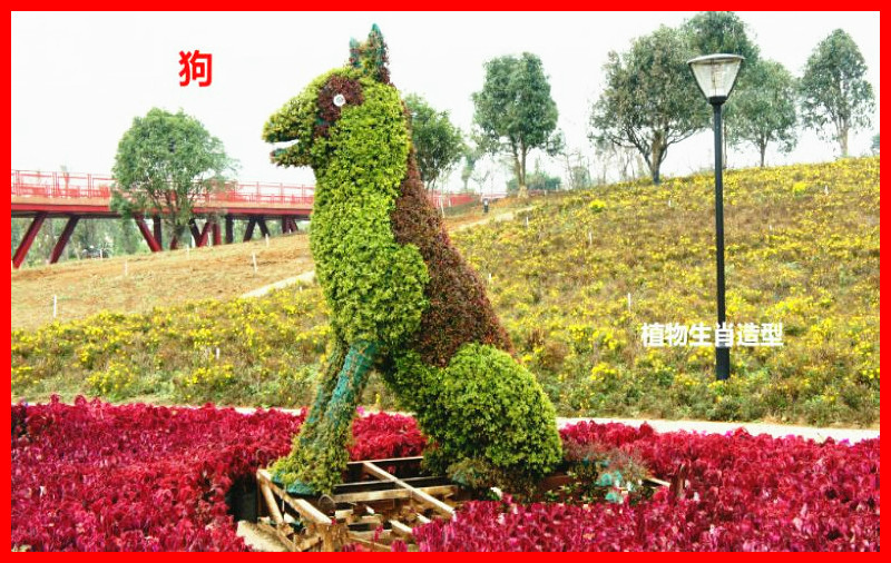 十二生肖主题植物造型艺术