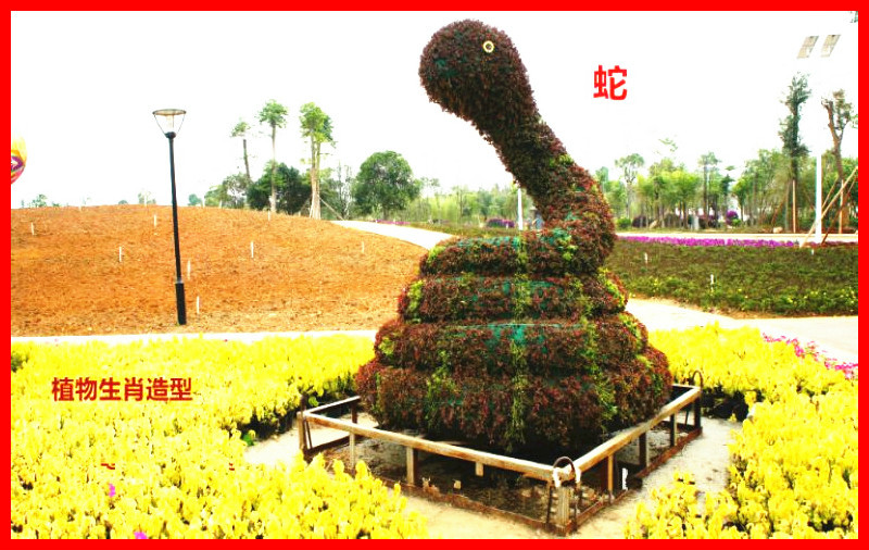 十二生肖主题植物造型艺术