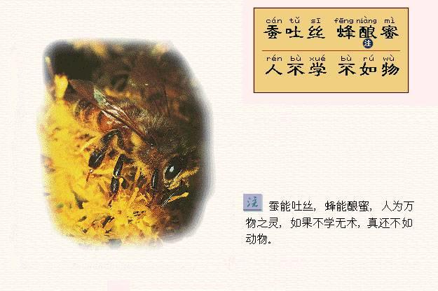 中国符号--图注三字经新解（五）