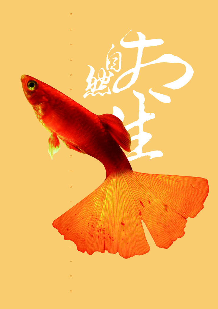 自然相生创意海报设计作品