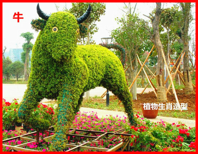 十二生肖主题植物造型艺术