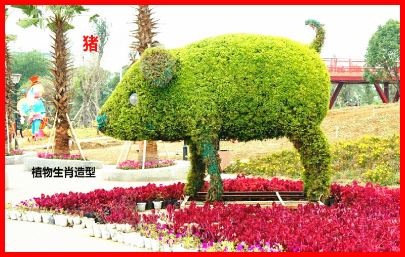 十二生肖主题植物造型艺术