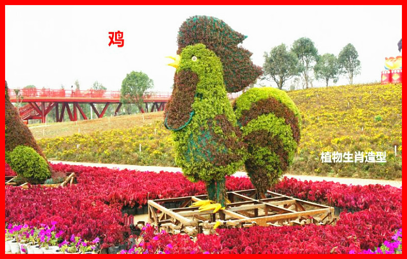十二生肖主题植物造型艺术