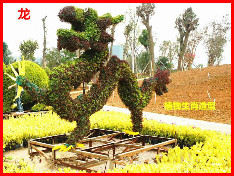十二生肖主题植物造型艺术