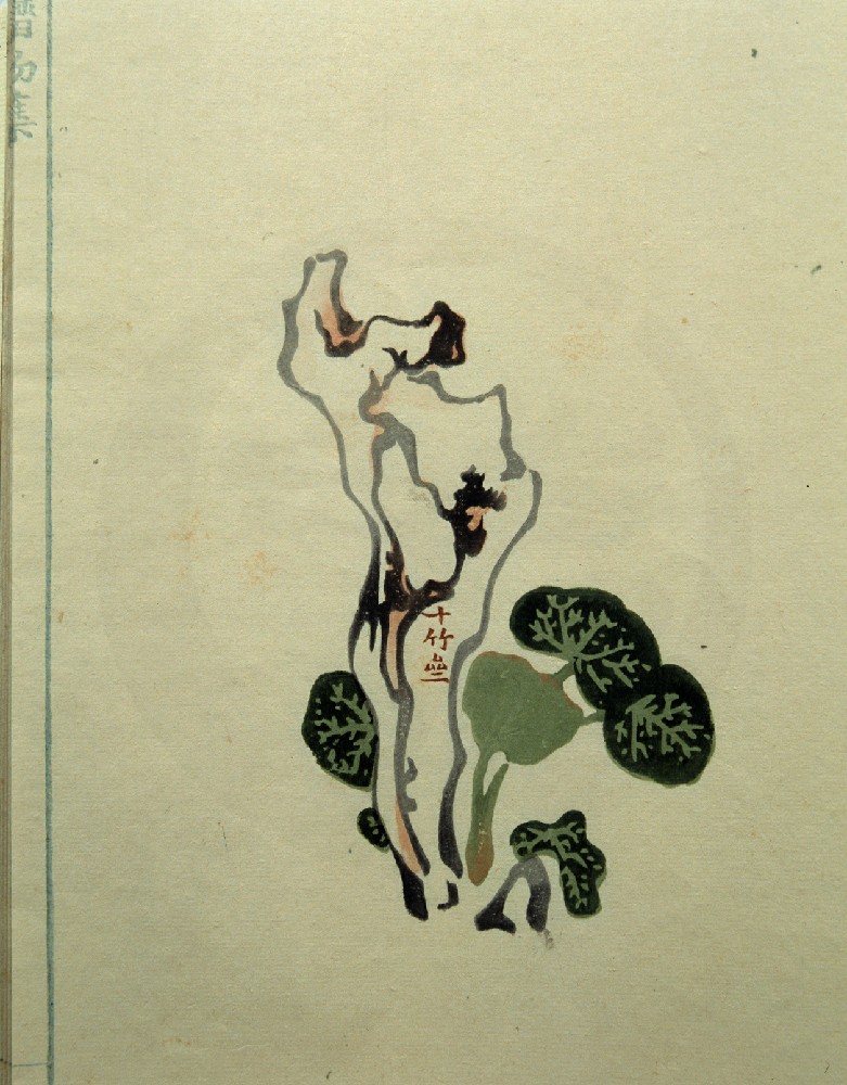 饾版胡正言的《十竹斋画谱》（四）