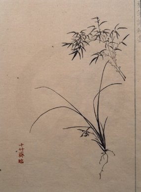 饾版胡正言的《十竹斋画谱》（二） 