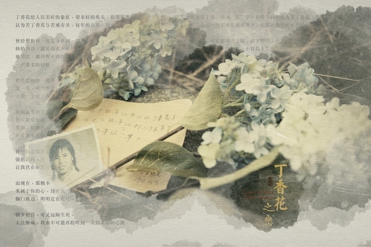最美民国风丁香花之恋视觉艺术作品