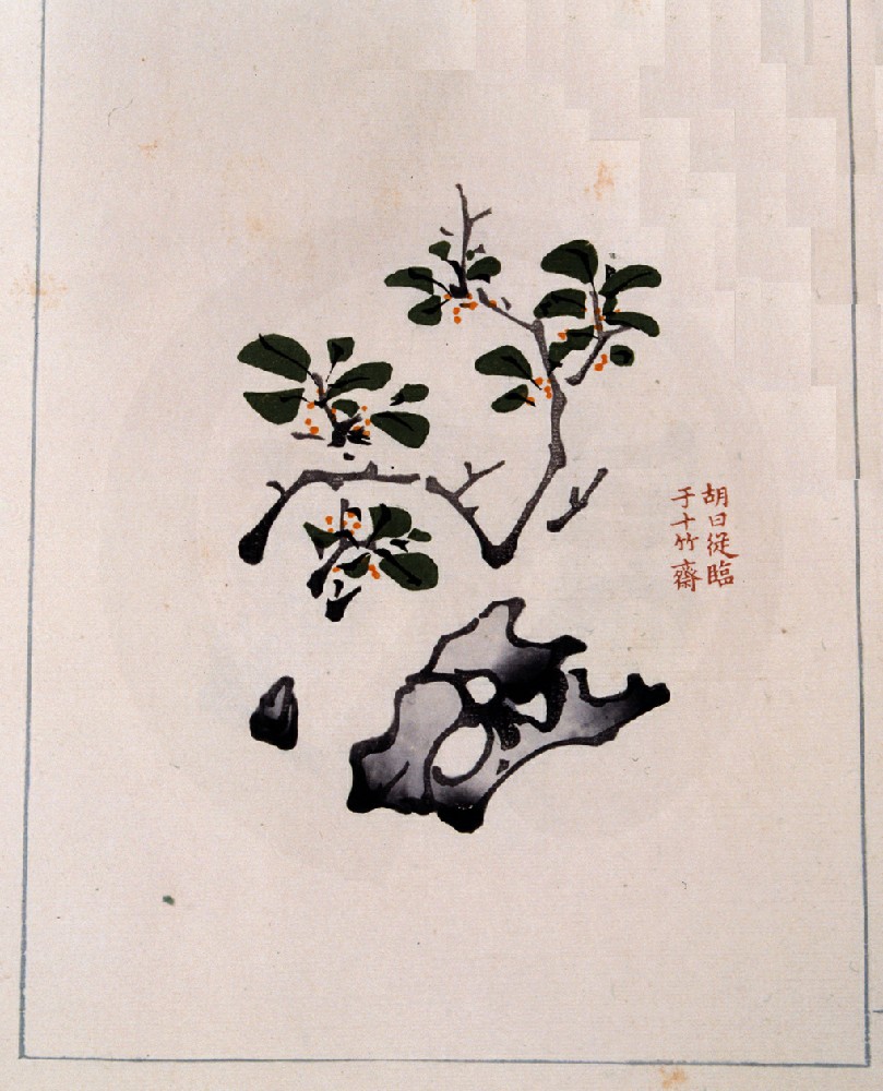 饾版胡正言的《十竹斋画谱》（一）