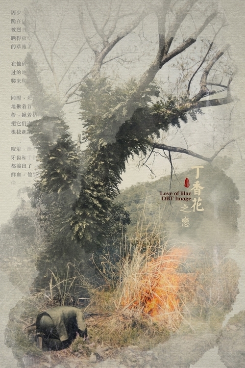 最美民国风丁香花之恋视觉艺术作品