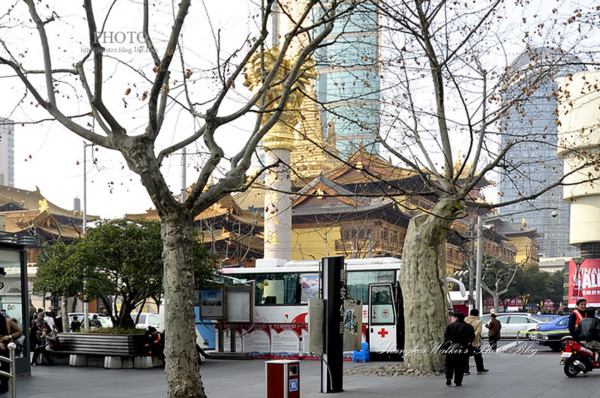 申城古刹静安寺摄影艺术