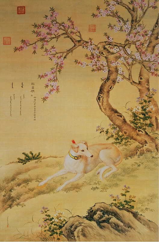 清代宫廷画家郎世宁作品犬