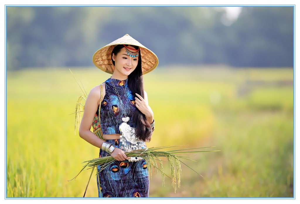 古风唯美稻田人像摄影艺术