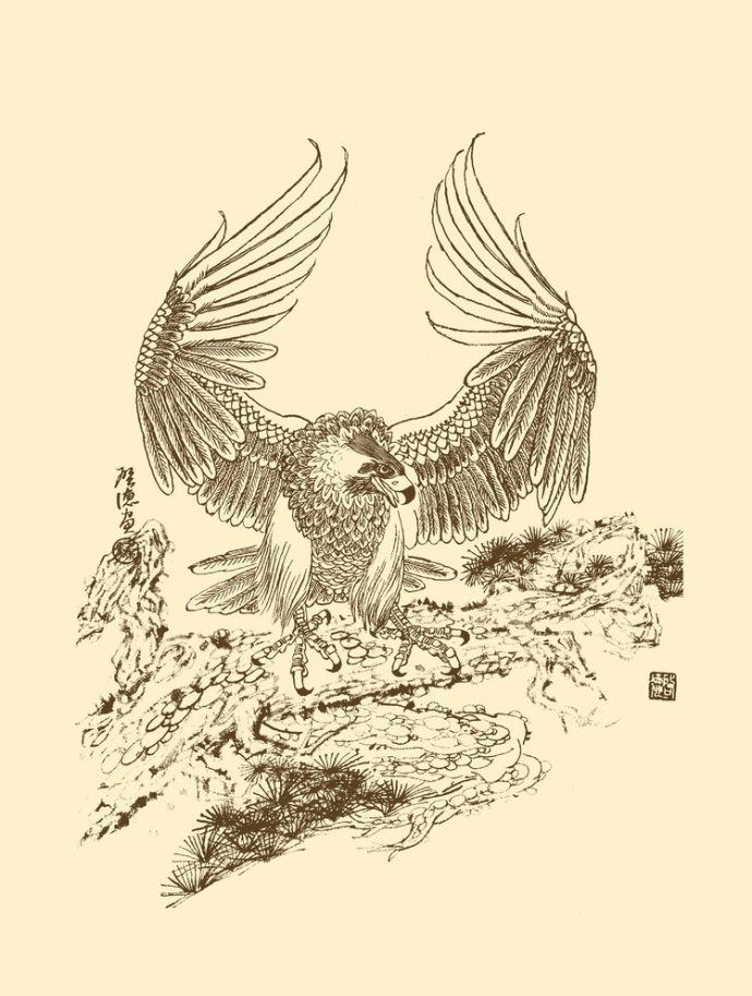 精美的鹰姿白描绘画艺术作品（二）