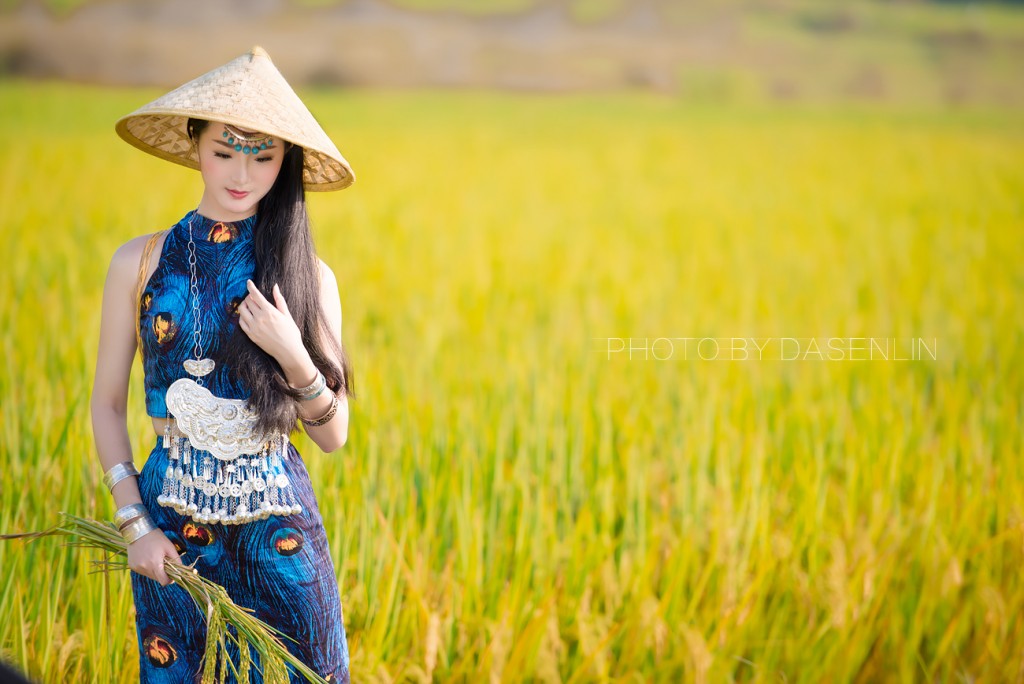 古风唯美稻田人像摄影艺术