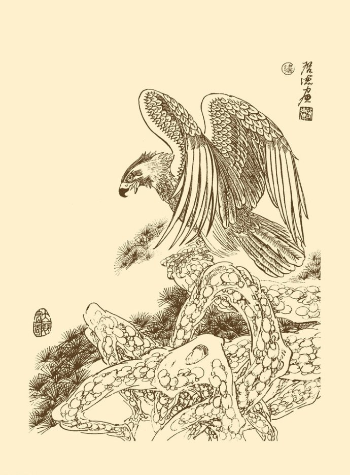 精美的鹰姿白描绘画艺术作品（二）